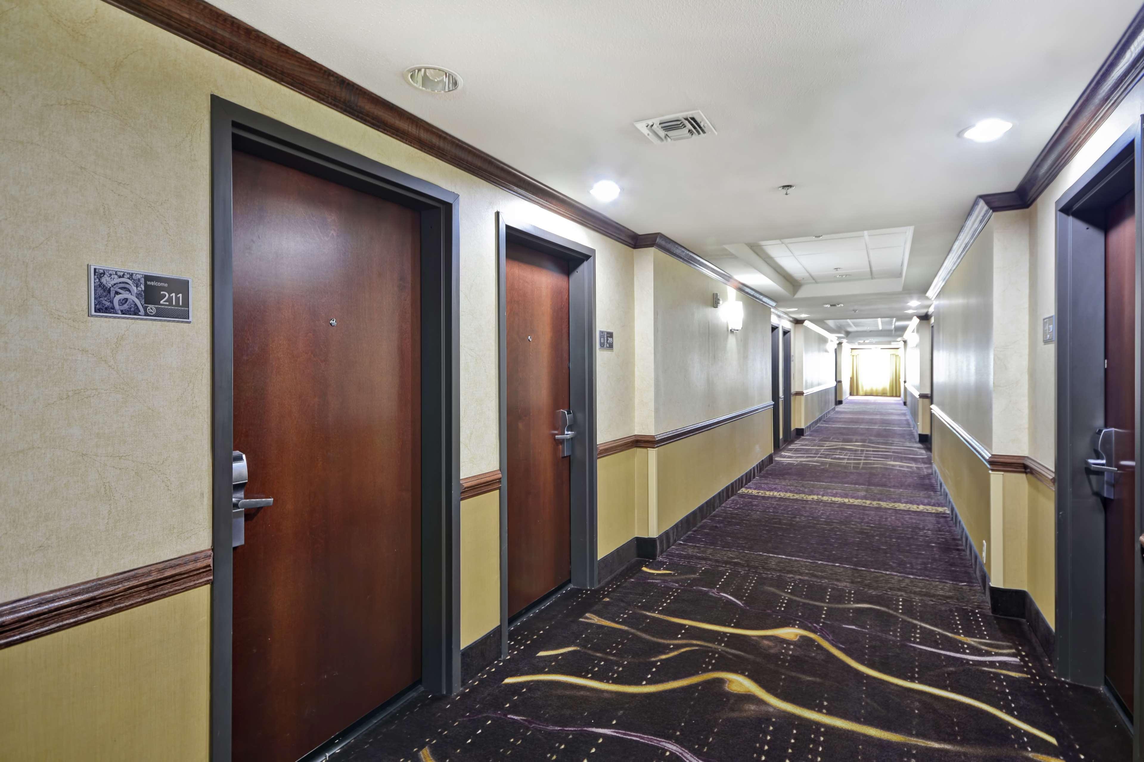 Hampton Inn & Suites Corpus Christi I-37 - Navigation Boulevard Exterior foto